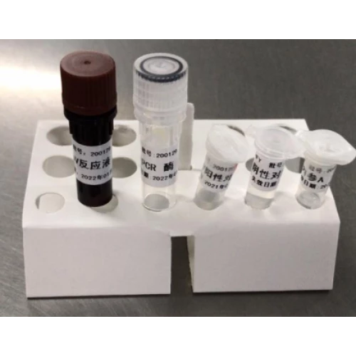 2019-nCoV核酸检测试剂盒