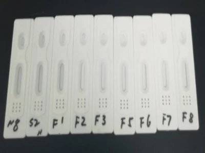 SARS-CoV-2（COVID-19）IgM / IgG抗体快速检测